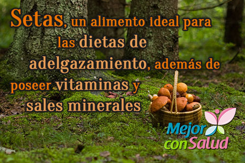 setas-vitaminas-sales