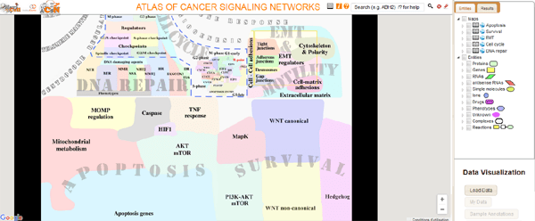 Atlas-cancer' 'http://i0.wp.com/buzz-esante.fr/wp-content/uploads/2015/10/Atlas-cancer.png?w=600 600w, http://i0.wp.com/buzz-esante.fr/wp-content/uploads/2015/10/Atlas-cancer.png?resize=300%2C124 300w, http://i0.wp.com/buzz-esante.fr/wp-content/uploads/2015/10/Atlas-cancer.png?resize=500%2C207 500w